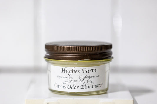 4oz Wickless Candle - Citrus Odor Eliminator