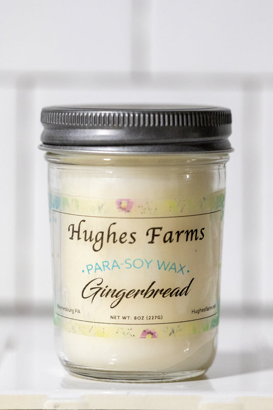 8oz Candle - Gingerbread