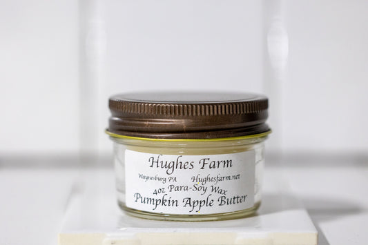 4oz Wickless Candle - Pumpkin Apple Butter