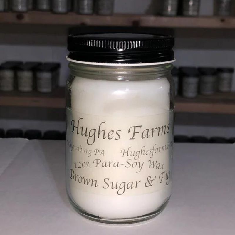 12oz Candle - Brown Sugar & Fig
