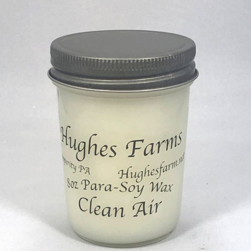 8oz Candle - Clean Air