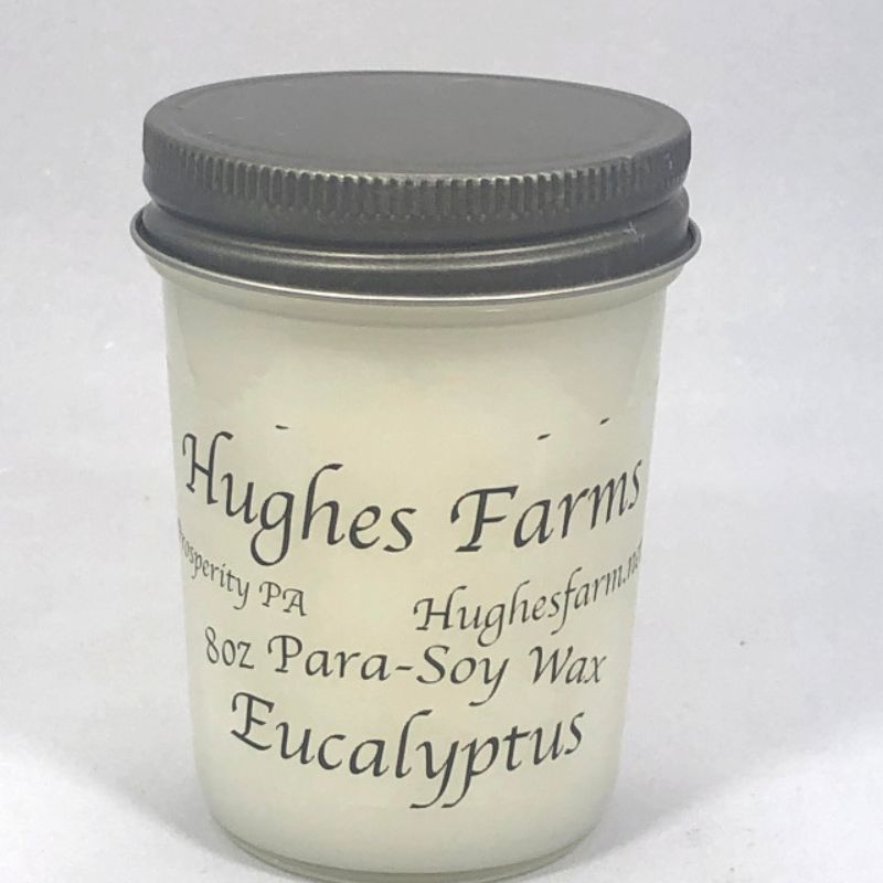 8oz Candle - Eucalyptus