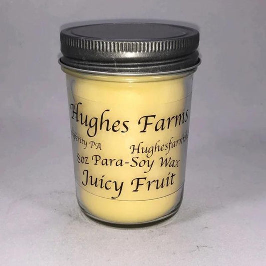 8oz Candle - Juicy Fruit