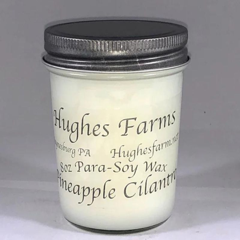 8oz Candle - Pineapple Cilantro