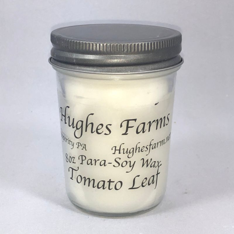 8oz Candle - Tomato Leaf