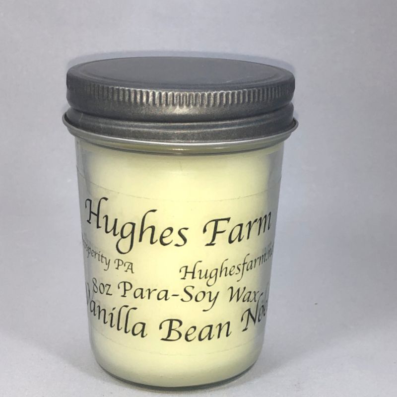 8oz Candle - Vanilla Bean Noel