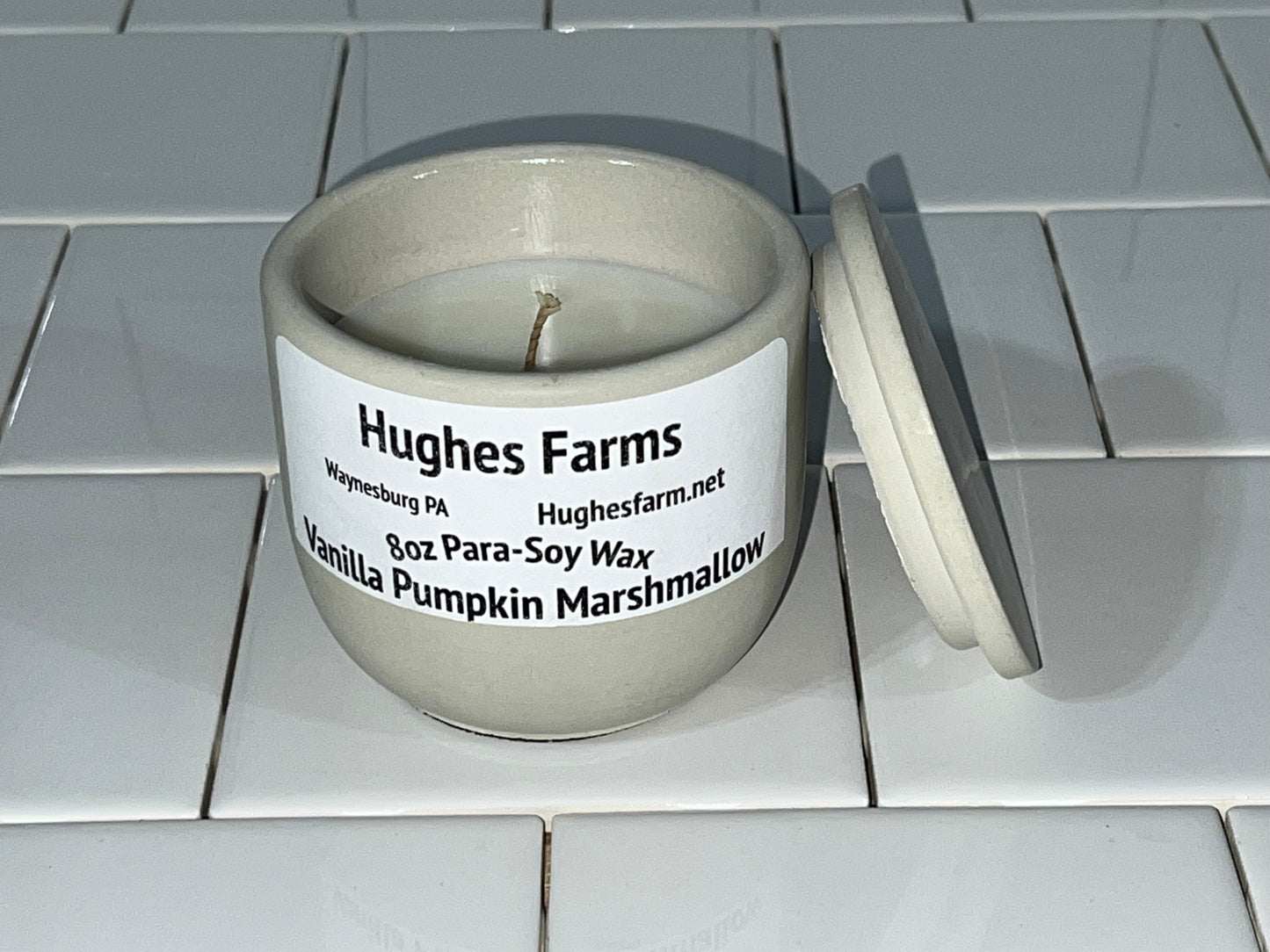 8oz Cement Vessel - Vanilla Pumpkin Marshmallow