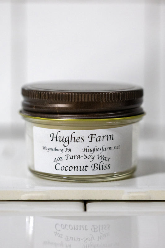 4oz Wickless Candle - Coconut Bliss