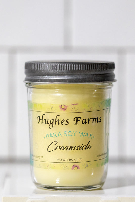 8oz Candle - Creamsicle