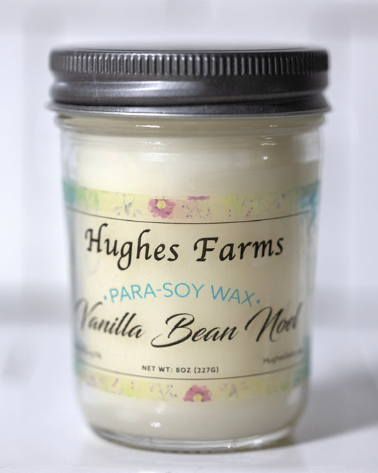 8oz Candle - Vanilla Bean Noel