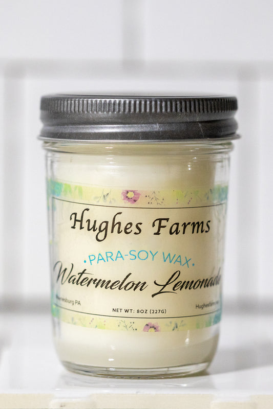 8oz Candle - Watermelon Lemonade
