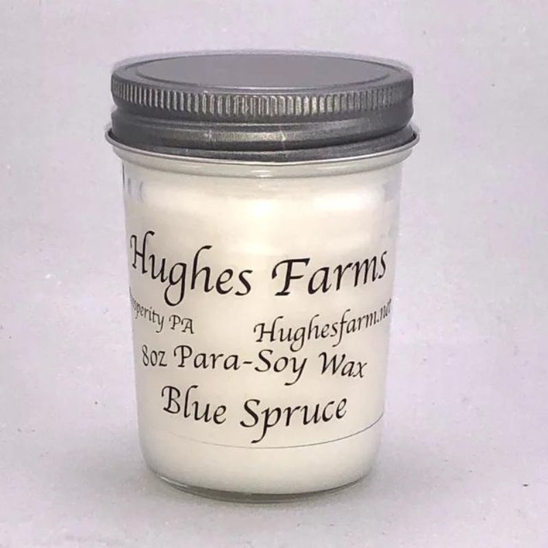 8oz Candle - Blue Spruce