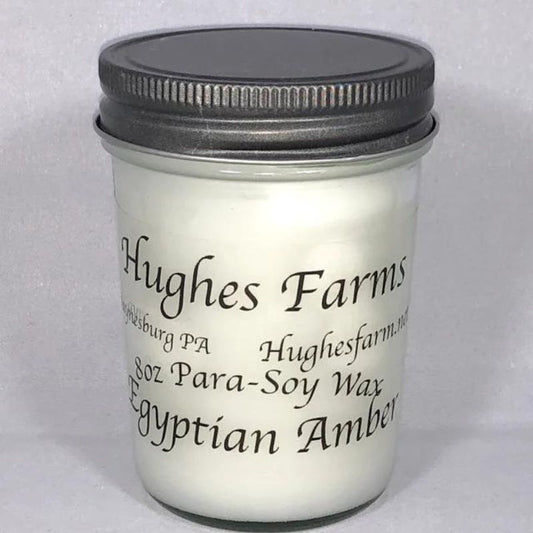 8oz Candle - Egyptian Amber